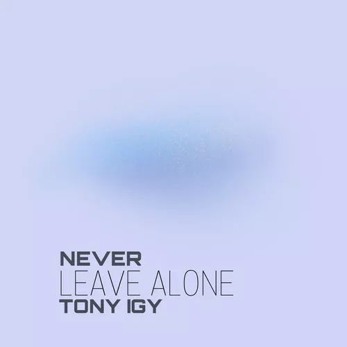 Музика Tony Igy - Never Leave Alone