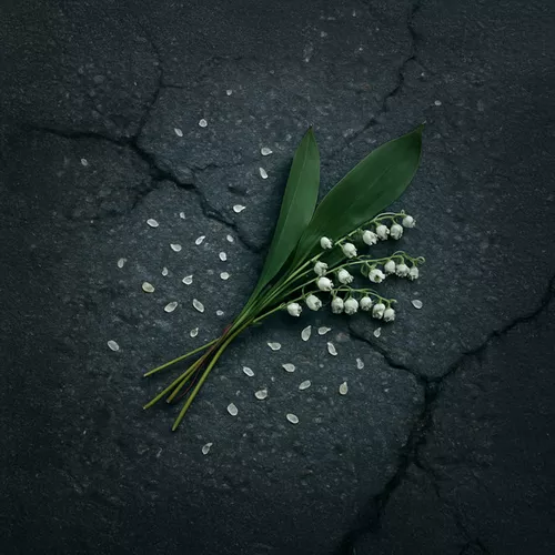 Музика Nansi - Привет (feat. Sidorov)