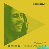 Bob Marley feat. LVNDSCAPE & Bolier от Is This Love (Extended Mix)
