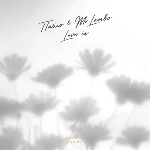 Музика Пабло - Love Is (feat. Mr Lambo)