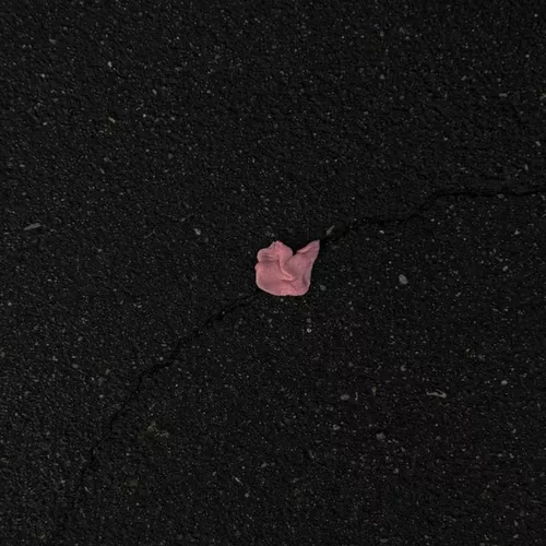 Музика Amchi - Love Is