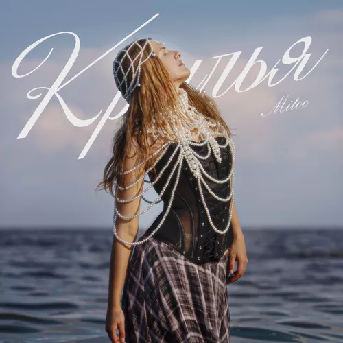 Музика Mitoo - Крылья