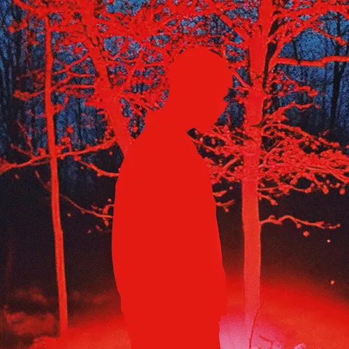 Музика Куок - Crystal Castle