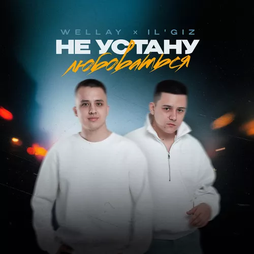 Музика Wellay - Не Устану Любоваться (feat. Il'giz)