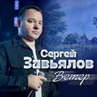 Сергей Завьялов от Ветер