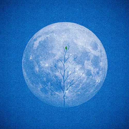 Музика A'Studio - Она Не Виновата