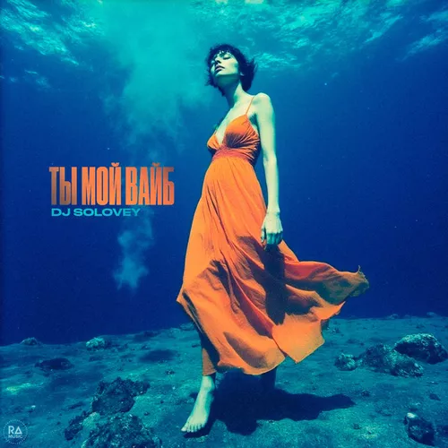 Музика DJ Solovey - Ты Мой Вайб