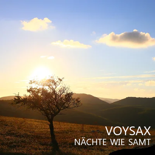 Музика Voysax - Nächte Wie Samt (Radio Edit)