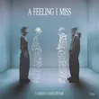 Cassian & Matt Ryder от A Feeling I Miss (Original Mix)