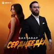 Бахтавар от Сердцеедка