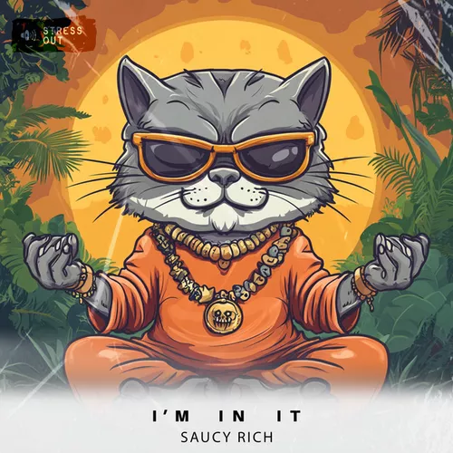 Музика Saucy Rich - I'm In It (Extended Mix)