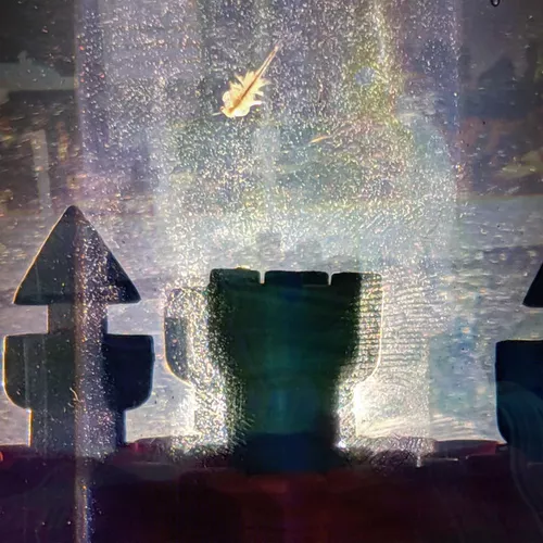 Музика Admo - I/O Switch