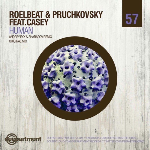 Музика RoelBeat & Pruchkovsky feat. Casey - Human (Original Mix)