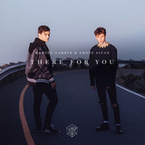 Martin Garrix от There For You (feat. Troye Sivan)