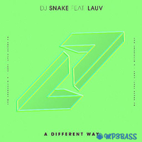 DJ Snake от A Different Way (feat. Lauv)