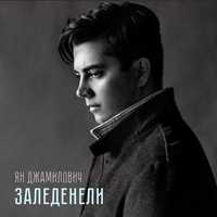 Ян Джамилович от Заледенели