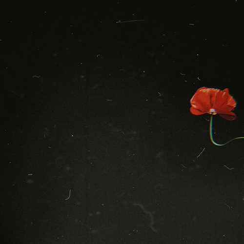 Музика Matrang - Со Мной