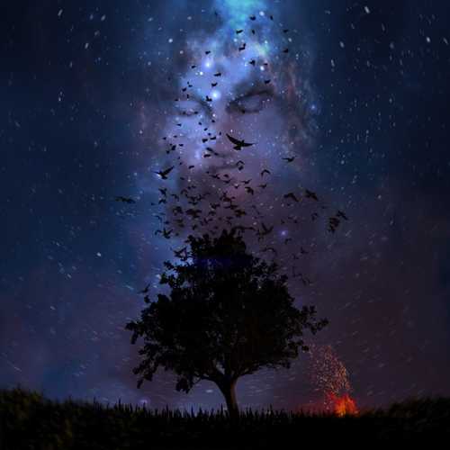 Музика May Wave$ - Моя Музыка