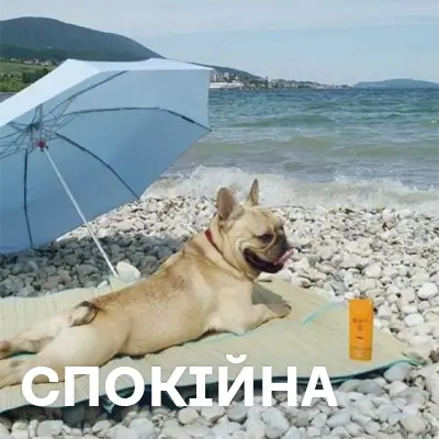 Спокійна релакс музика